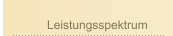 Leistungsspektrum